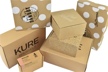 Expresslieferung Kisten in Zwijnaarde BE